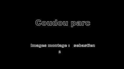 ZAZA 1 et 2, Ligne de vie continue Coudou Parc