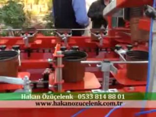 141 Ödemiş Süs Bit 2