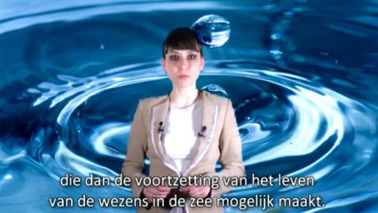 WAT DARWINISTEN NIET KUNNEN BEDENKEN 3