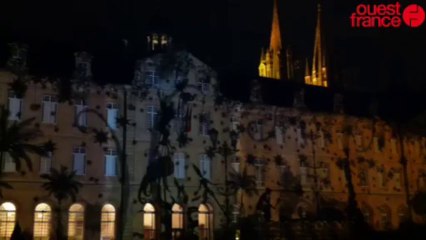 Spectacle en lumières