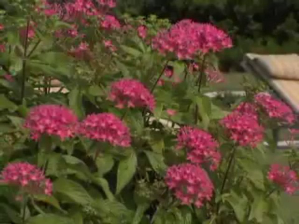 Video Tour of Palmetto Bluff SC by Rich Cocovich of Global Star Capital