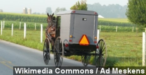 Grandpa Of Amish Girl In Chemo Case Says Sarah's Cancer Free
