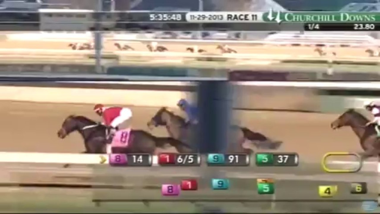 29.11.2013 Churchill Downs (USA) 11.Race Clark Handicap 2013 - Group I 1.818 m