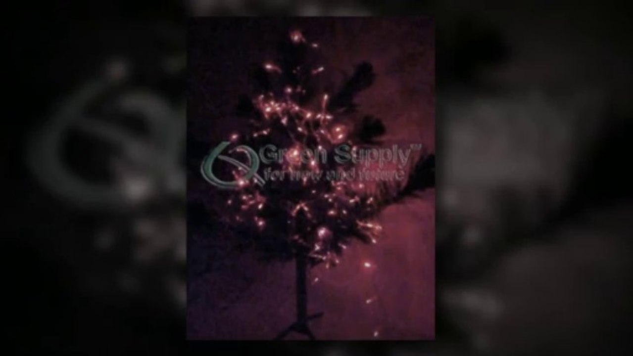 LED String Lights - Red Color