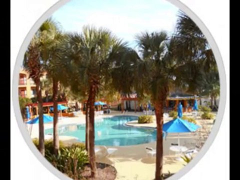 Quality Suites lake buena vista