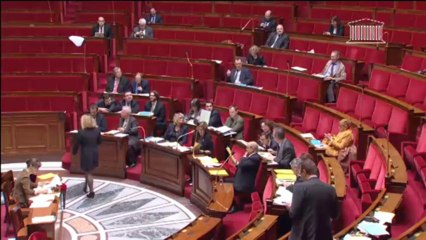 LOI DE PROGRAMMATION MILITAIRE 2014-2019 (suite) - Vendredi 29 Novembre 2013