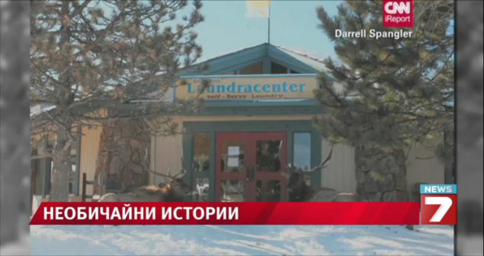 ⁣Коледната магия завладява САЩ