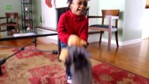 Compilation de Chiens qui jouent avec des jouets de bébé.