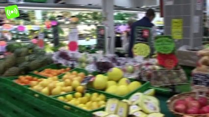 Rimini. Sabato 30 torna la Colletta Alimentare.