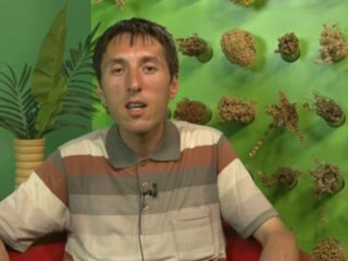 Romatizma , Varis ve Midede Ülseer