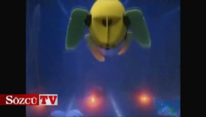 Kaplumbağadan esinlenip sualtı robotu yaptılar