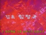 [ 태권동자, 마루치.아라치 Taekwon Dongja, Maruchi & Arachi (1977) ] 한국 만화 영화 Sound Edit. Ver.-24