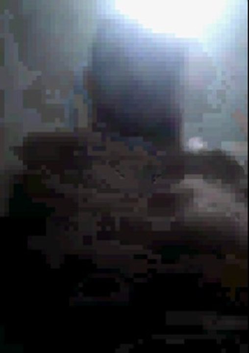 hicham rifaii