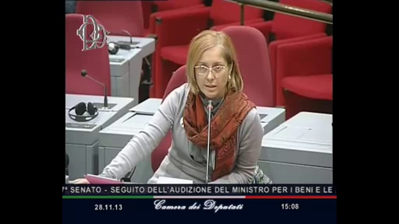 Roma - Seguito audizione ministro Bray (28.11.13)