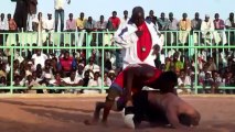 Wrestling Japanese diplomat loses final Sudan bout