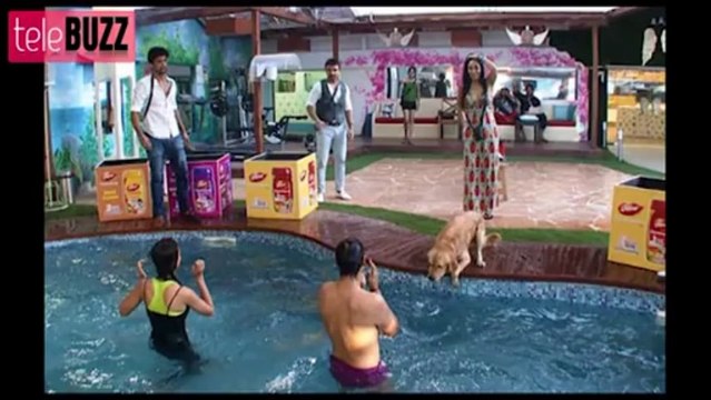 Bigg Boss 7 Ajaz BADLY HURT in Bigg Boss 7 29th November 2013 Day 75 FULL EPISODE