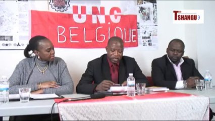 Problématique de la révision constitutionnelle en RD Congo