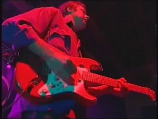 Rodriguez - Establishment Blues (Live South Africa 1998)