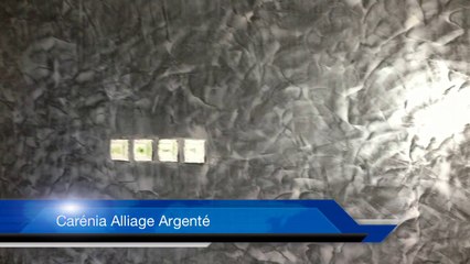 Seigneurie Carénia peinture décorative