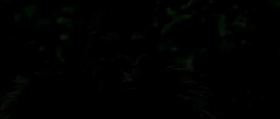 Tarzan 3D Animated Trailer HD