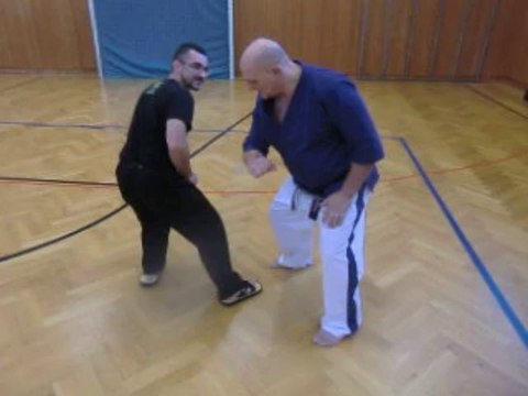 Travail des Tachi No Waza en Kiaï-Kyusho-Jitsu