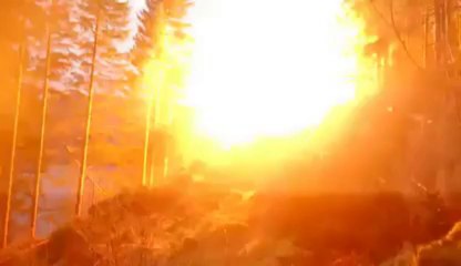 Arbre sur Ligne Haute tension - Boummmmmm