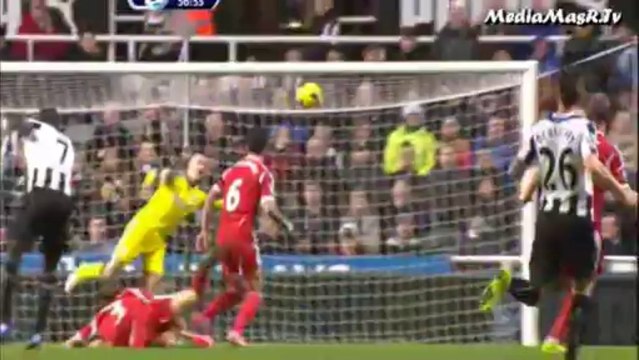 نيوكاسل يونايتد 2-1 ويست بروميتش ألبيون - الأسبوع 13 - 30/11/2013