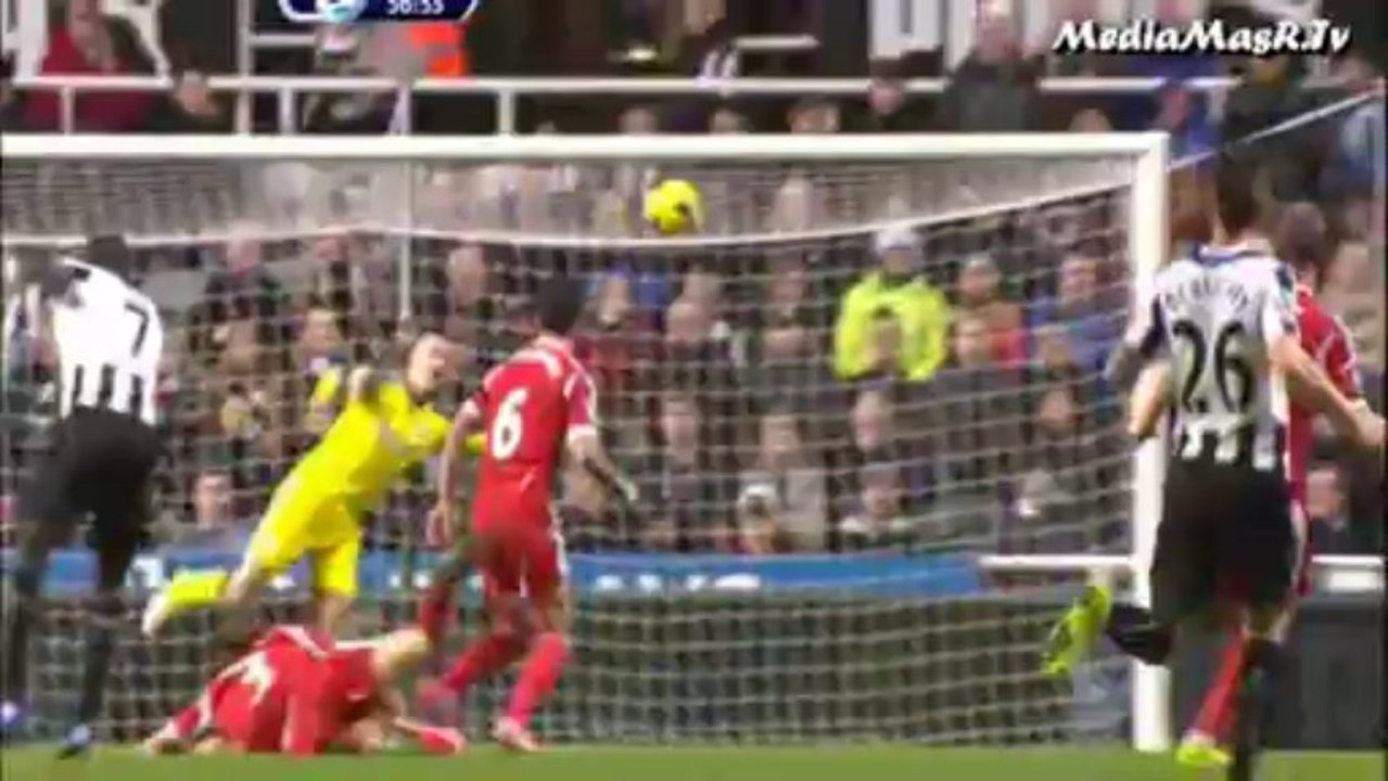 نيوكاسل يونايتد 2-1 ويست بروميتش ألبيون - الأسبوع 13 - 30/11/2013