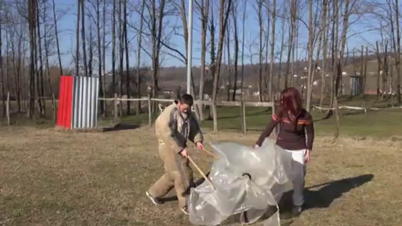 DOBERMANN femelle de RING : Magmar Von Der Burgstatte