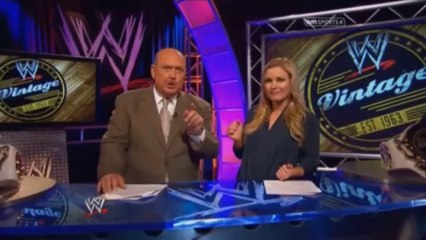 Desi-shows.net WWE.Vintage.Collection.2013.12.01.PDTV