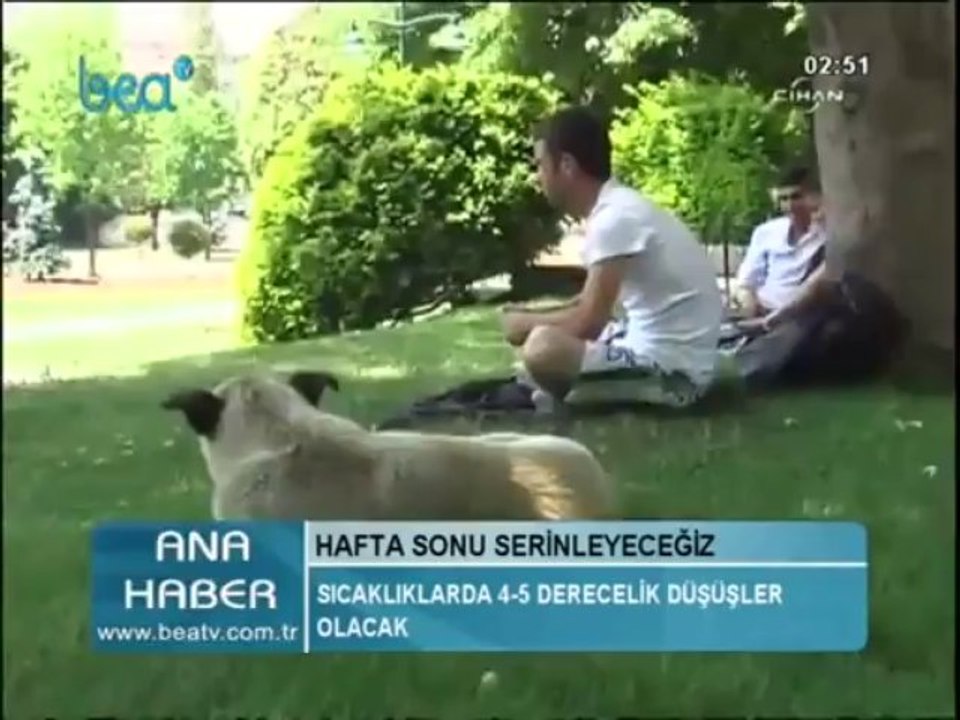 köpek - 1 kısım - 2013 temmuz 28 - kubilaysavash - shaolin efsanesi