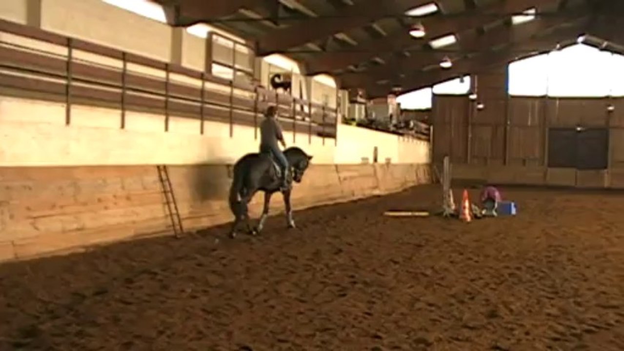 MOV008
