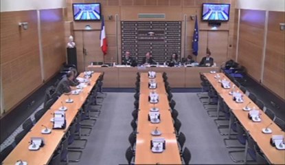 Audition de Mme Manuelle Salathée, Sg de l'Observatoire national de la sécurité routière - Mardi 11 Décembre 2012