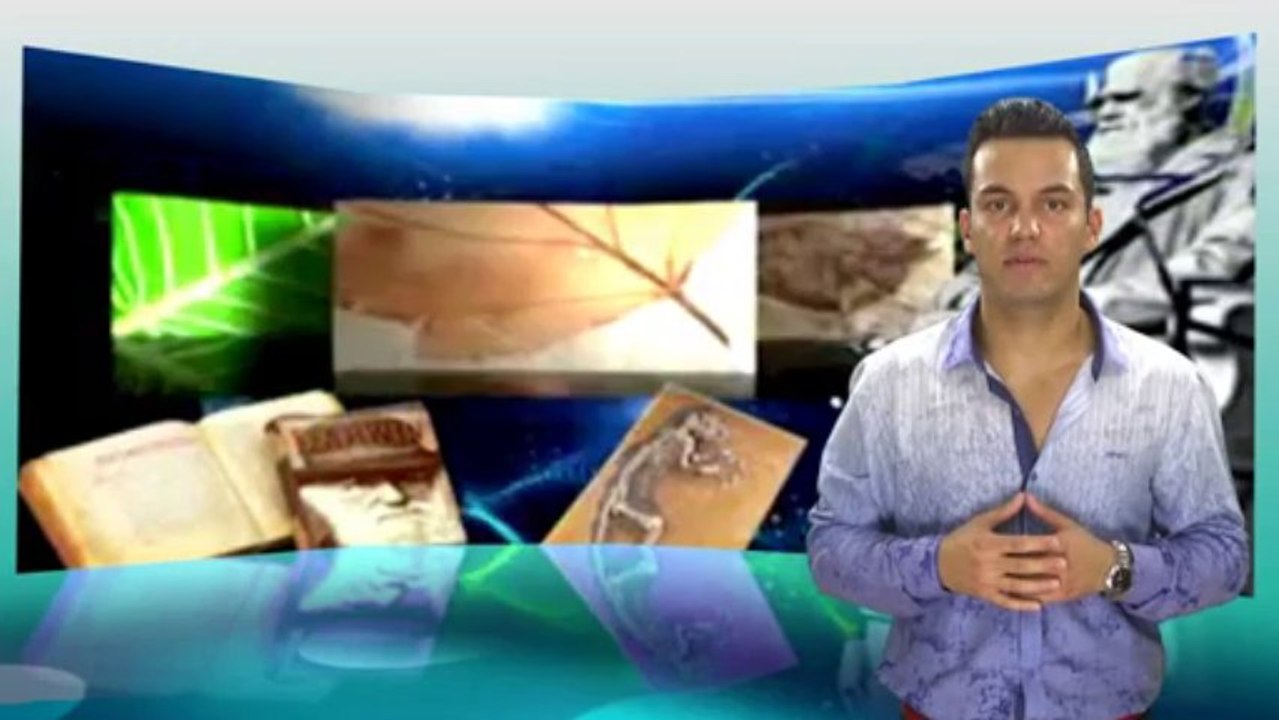 Die Evolutionsluge Teil 7 Naturliche Selektion