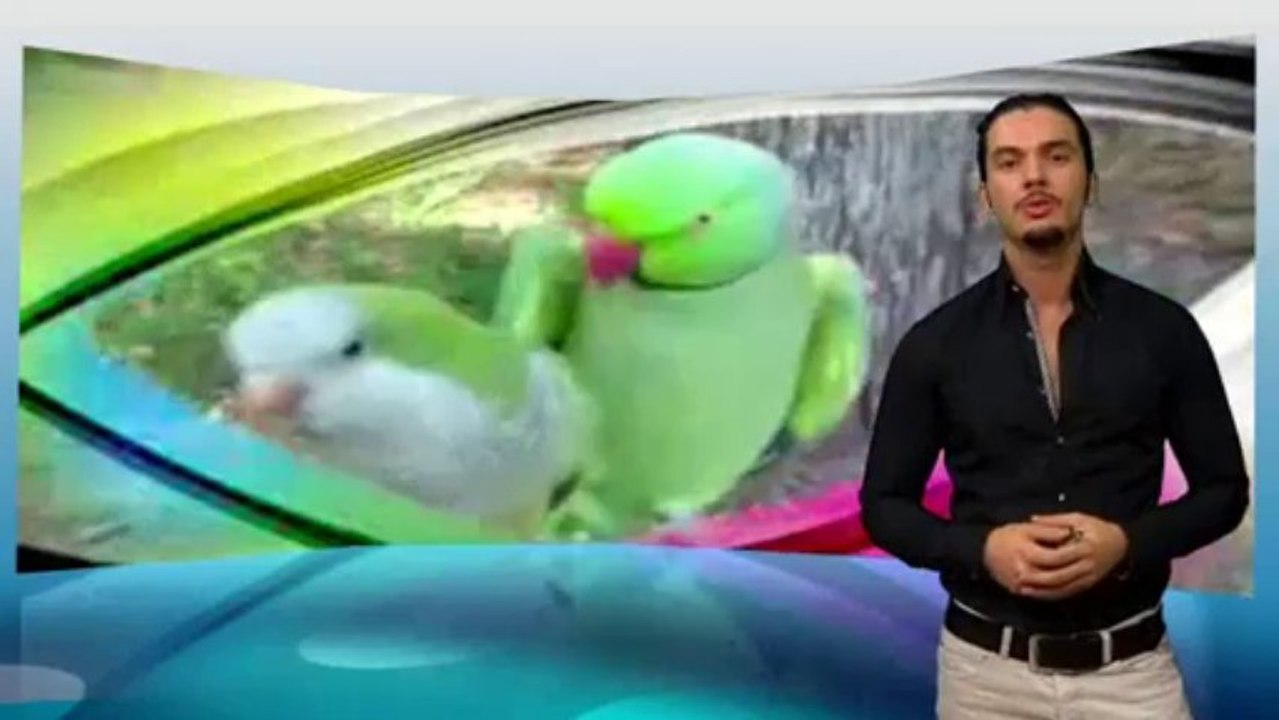 Die Evolutionsluge Tei 2 Der Ursprung des Lebens