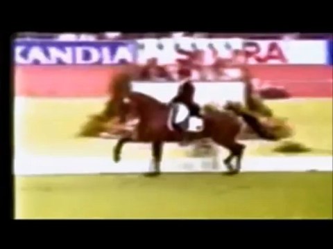 Etude du trot allongé partie 2