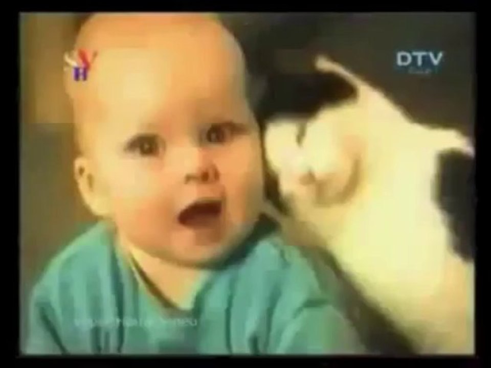 Funny Animal Compilation - Dezember 2013