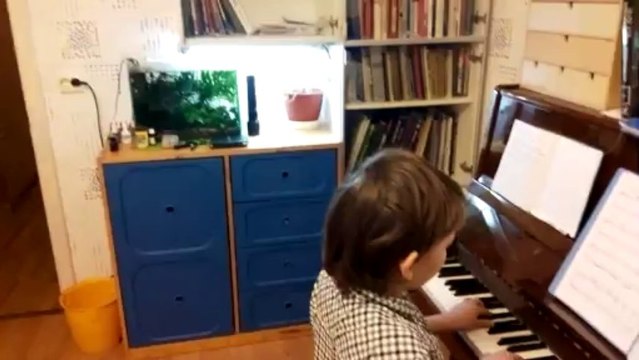 Fly IQ453 Luminor FHD - тест камеры, музыка