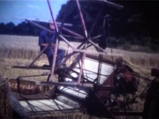 Un battage à l'ancienne à St Palais(64) en 1984.