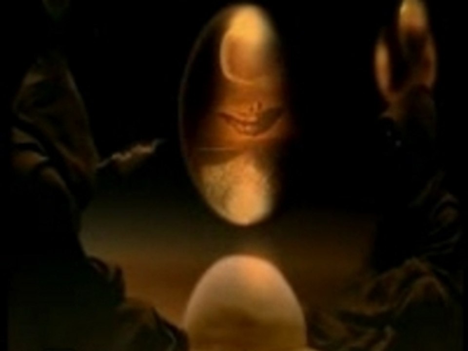 IAM - L'Empire Du Coté Obscur