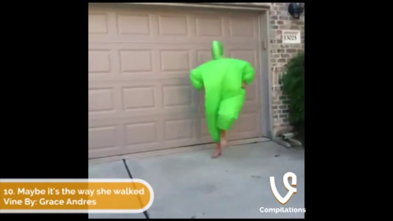 Best VINES of NOVEMBER 2013