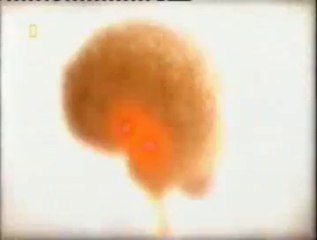 Cerebro: Miedo y memoria (Recuerdos flashback)