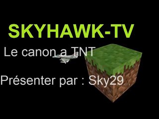 Le canon a T.N.T