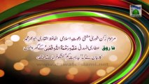 Useful Information 05 - Urdu - Mufti Farooq Ka Andaz e Guftugu