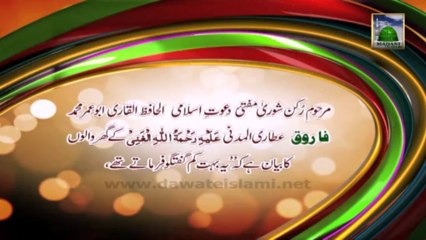 Useful Information 05 - Urdu - Mufti Farooq Ka Andaz e Guftugu