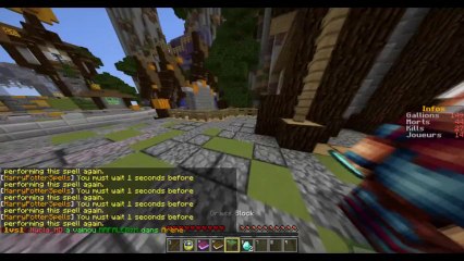 Le commencement  Présentation du serveur magicfight !