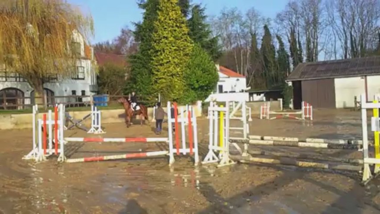 Concours d'obstacles au Wotaland, Braine-L'Alleud, le 1er décembre 2013