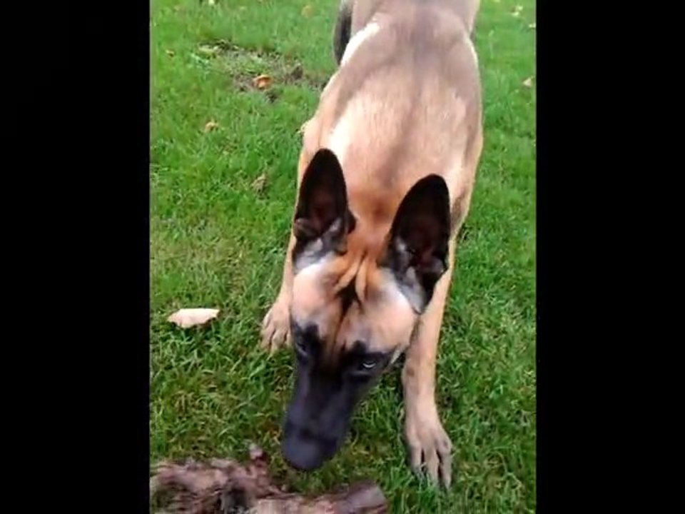 Be Aware Finn - Catch me if you can!