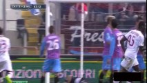 Serie A: Catania 1-3 AC Milan (all goals - highlights - HD)
