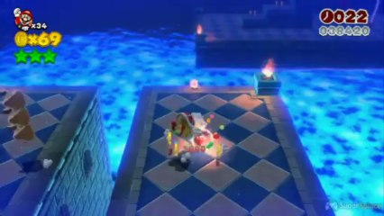 Soluce Super Mario 3D World : Niveau Fleur-4